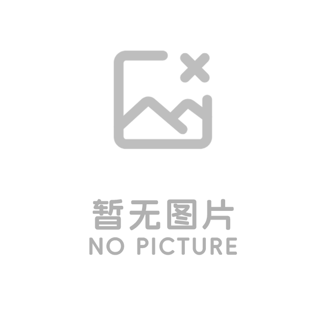 机械过滤器